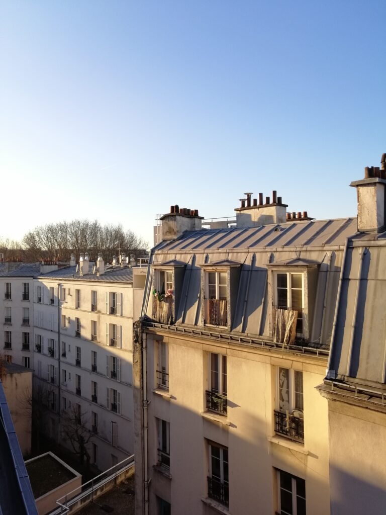 Vista sui tetti di Parigi