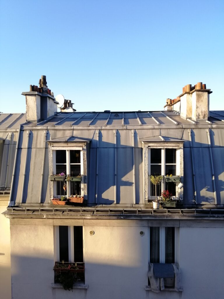 Vista sui tetti di parigi 2
